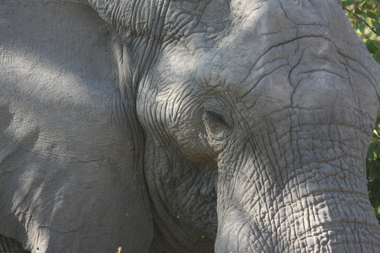 [17030] 2016_06_27_09_19_46_Africa_Canon_EOS_40D_IMG__02370.jpg