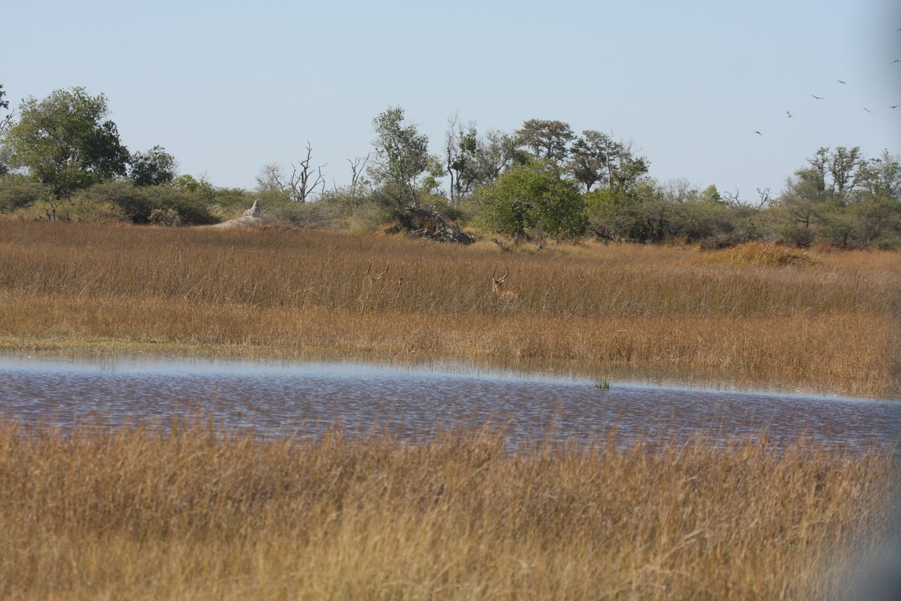 [18535] 2016_06_28_03_53_41_Africa_Canon_EOS_40D_IMG__00270.jpg