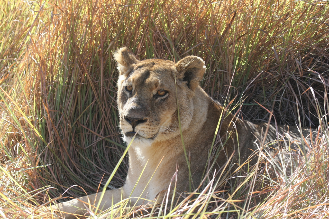 [18754] 2016_06_28_04_17_41_Africa_Canon_EOS_40D_IMG__00351.jpg