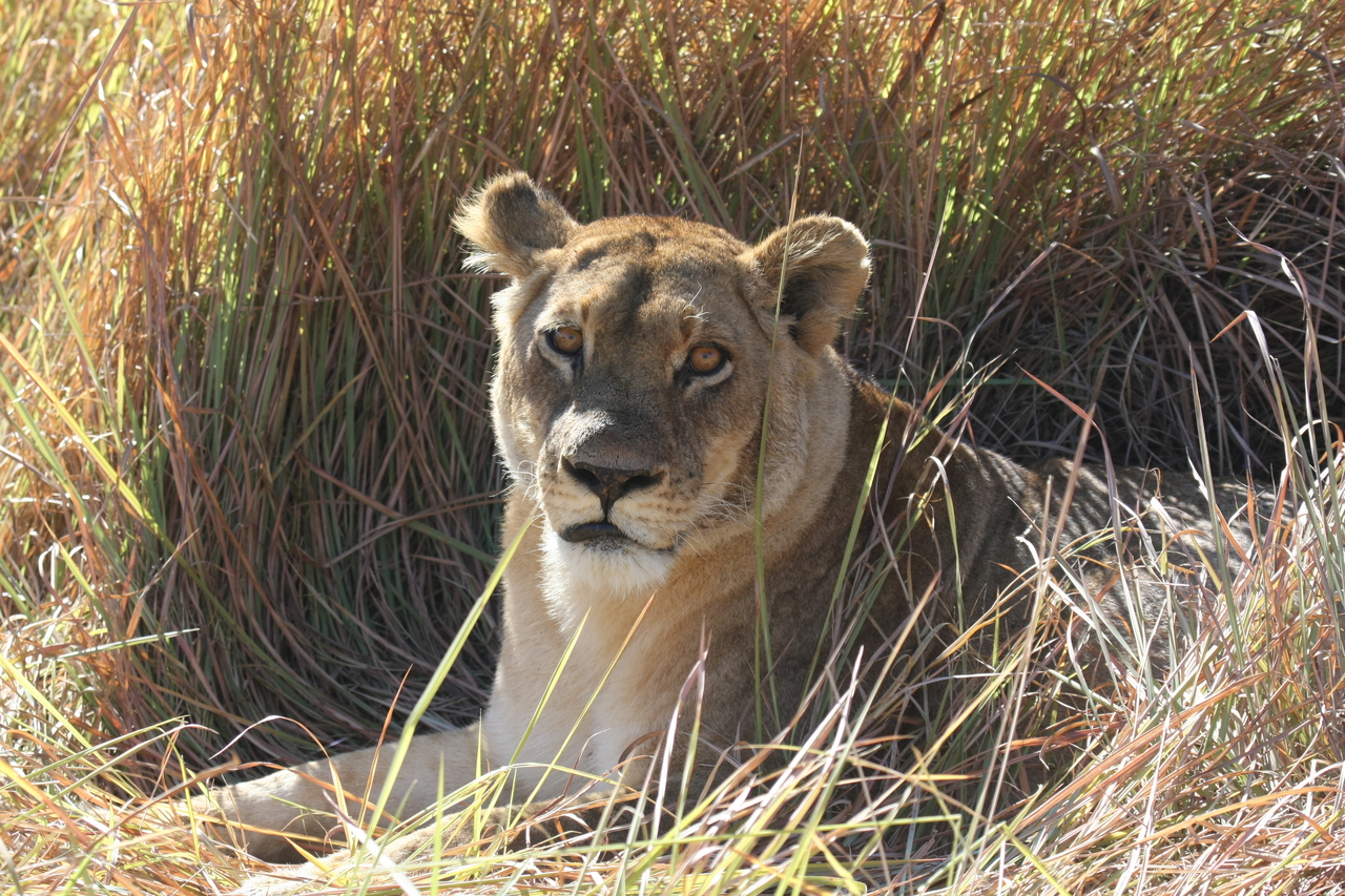 [18782] 2016_06_28_04_17_44_Africa_Canon_EOS_40D_IMG__10194.jpg