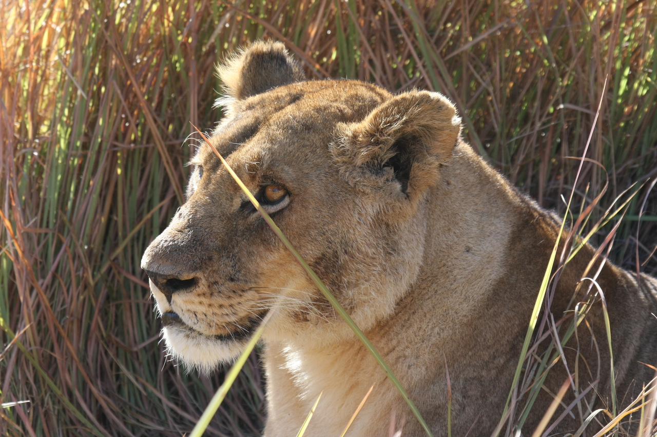 [18821] 2016_06_28_04_18_07_Africa_Canon_EOS_40D_IMG__02760.jpg