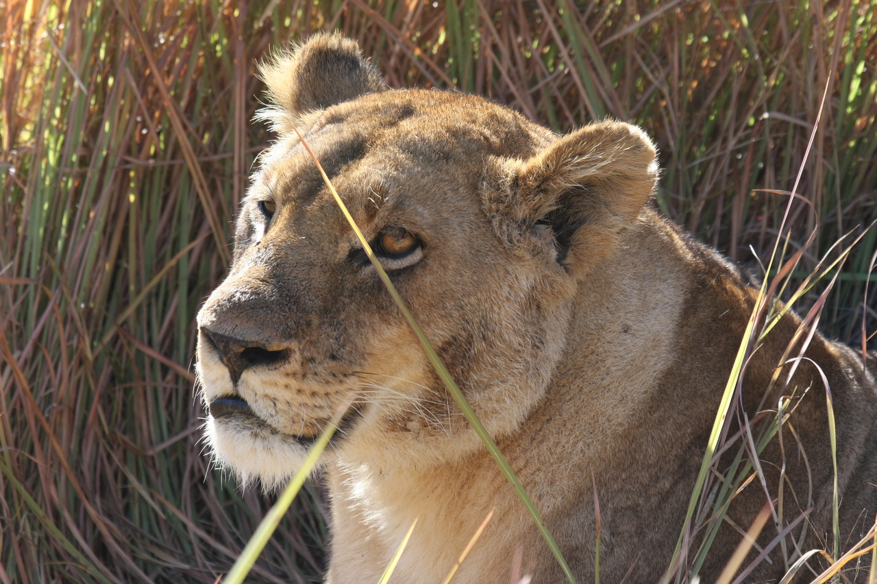 [18839] 2016_06_28_04_18_15_Africa_Canon_EOS_40D_IMG__10212.jpg