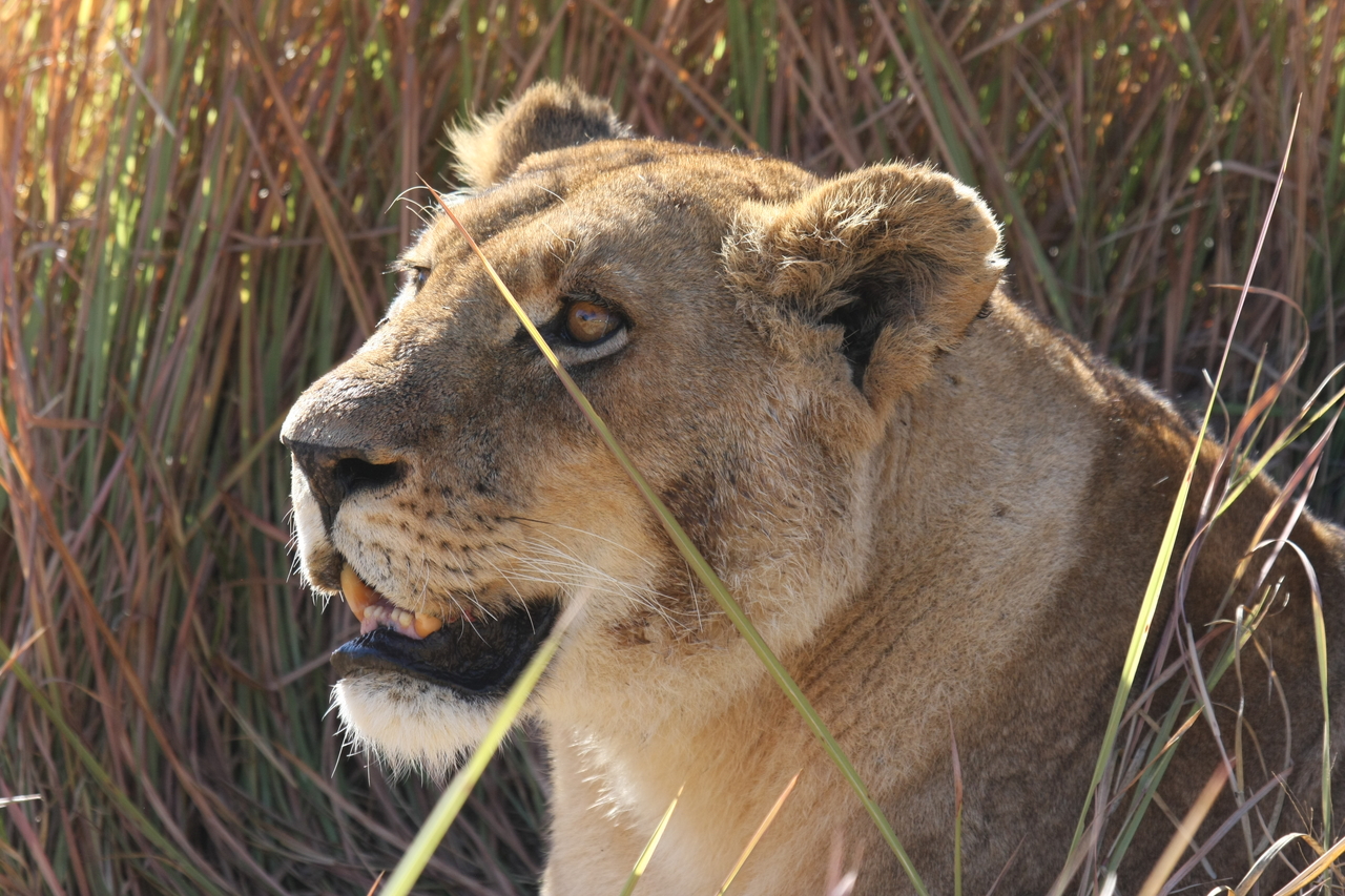 [18845] 2016_06_28_04_18_17_Africa_Canon_EOS_40D_IMG__10215.jpg