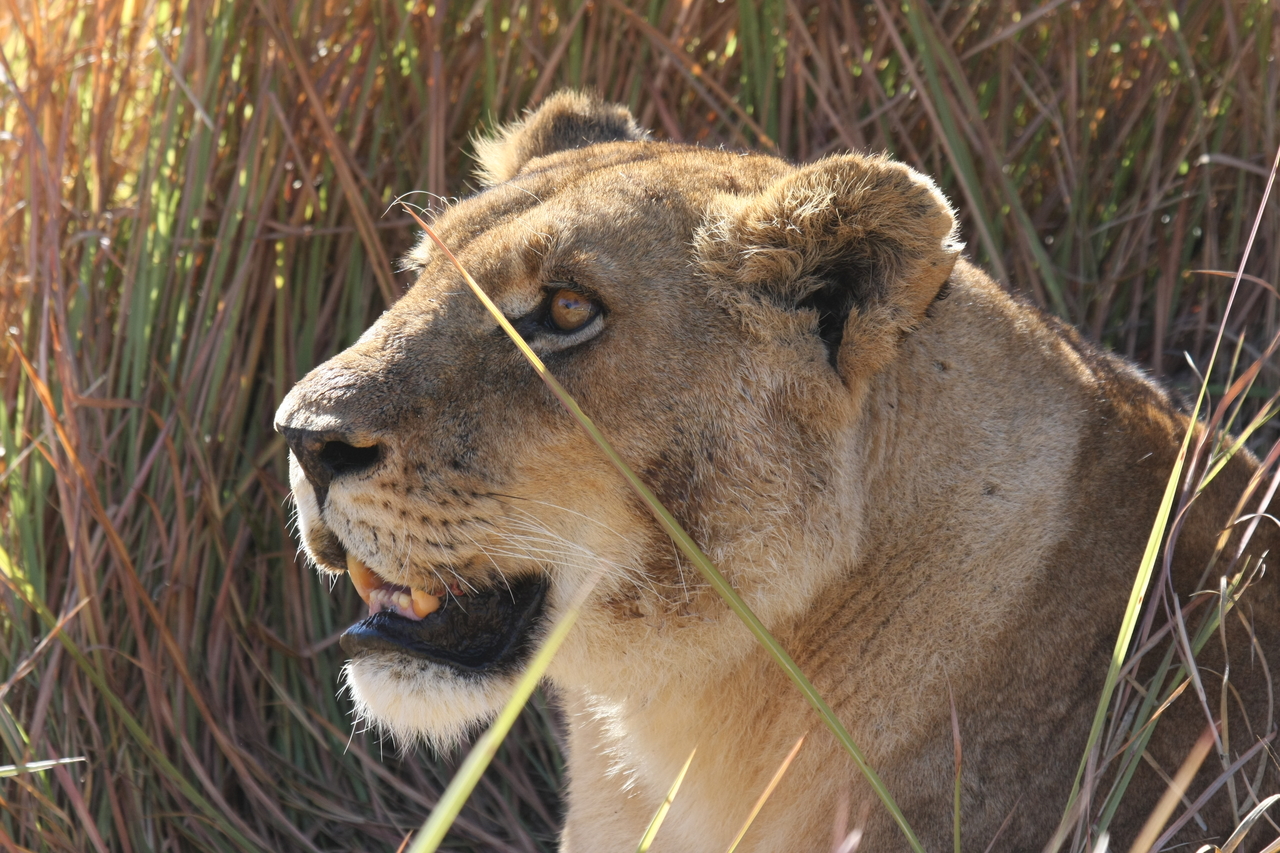 [18849] 2016_06_28_04_18_18_Africa_Canon_EOS_40D_IMG__00385.jpg