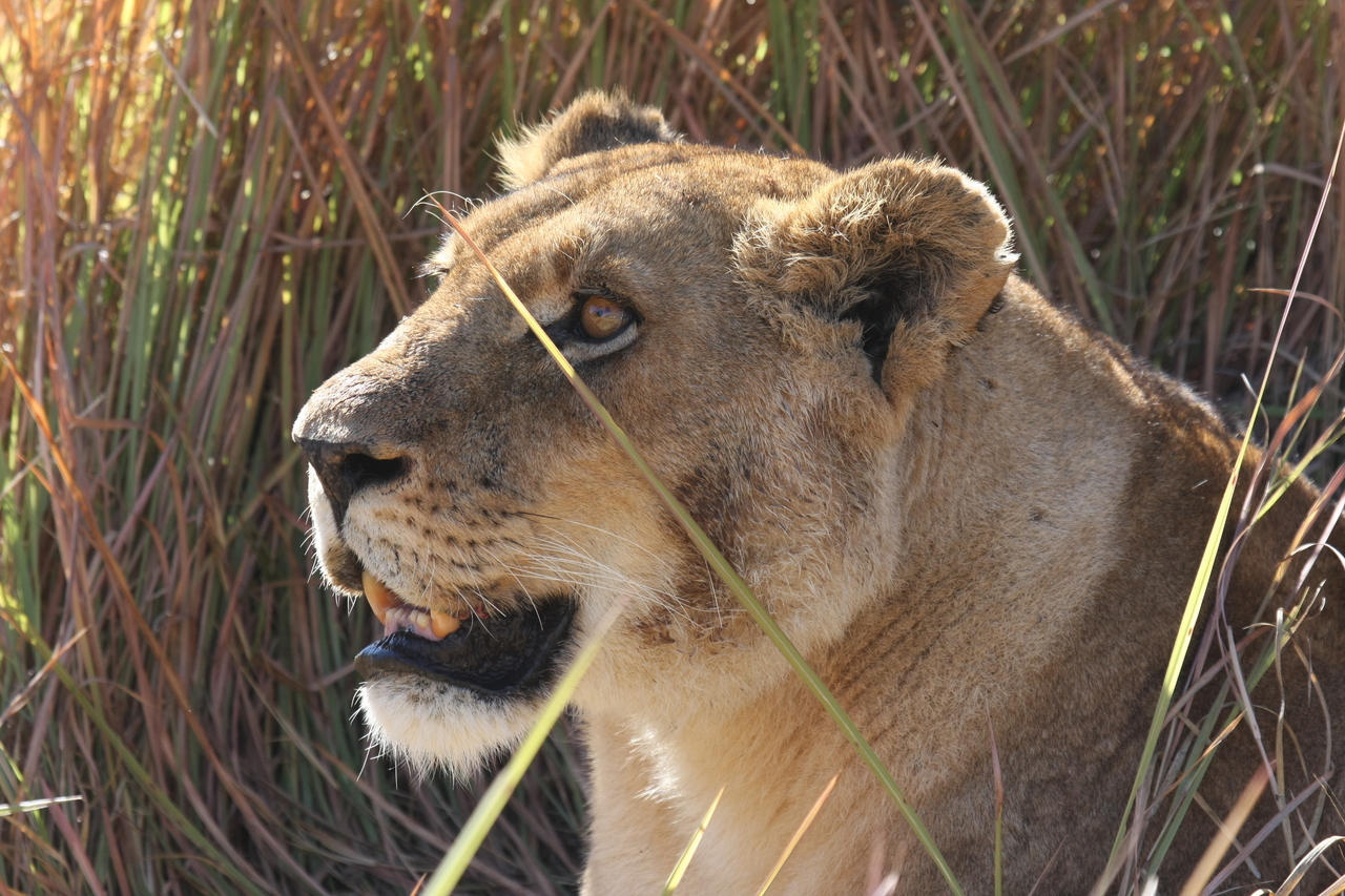 [18854] 2016_06_28_04_18_18_Africa_Canon_EOS_40D_IMG__10218.jpg