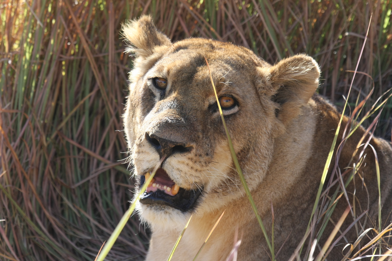 [18871] 2016_06_28_04_18_27_Africa_Canon_EOS_40D_IMG__02777.jpg