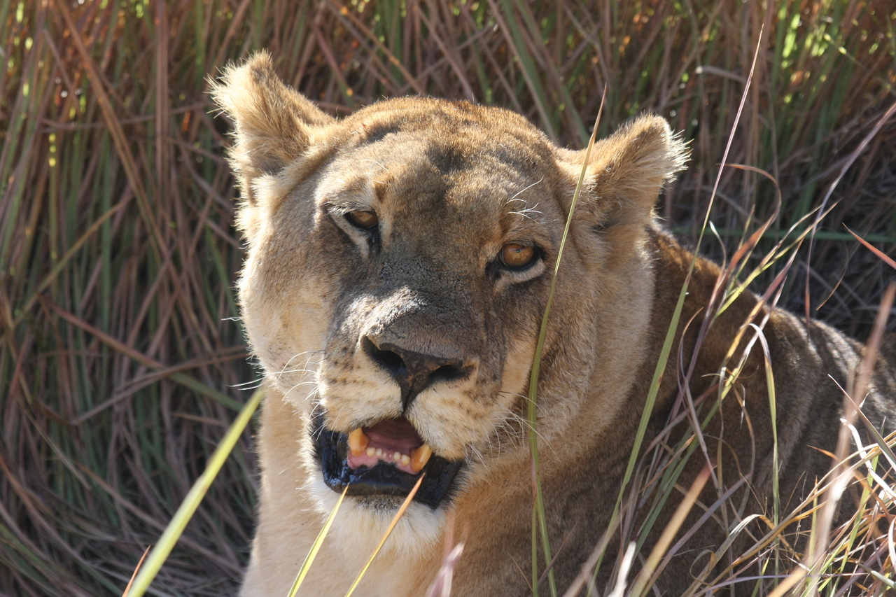 [18888] 2016_06_28_04_18_29_Africa_Canon_EOS_40D_IMG__00399.jpg