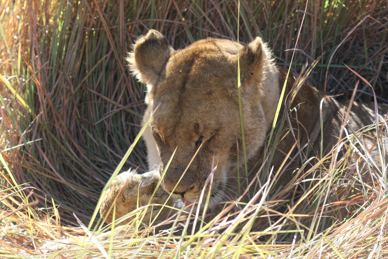 [18931] 2016_06_28_04_18_42_Africa_Canon_EOS_40D_IMG__02799.jpg