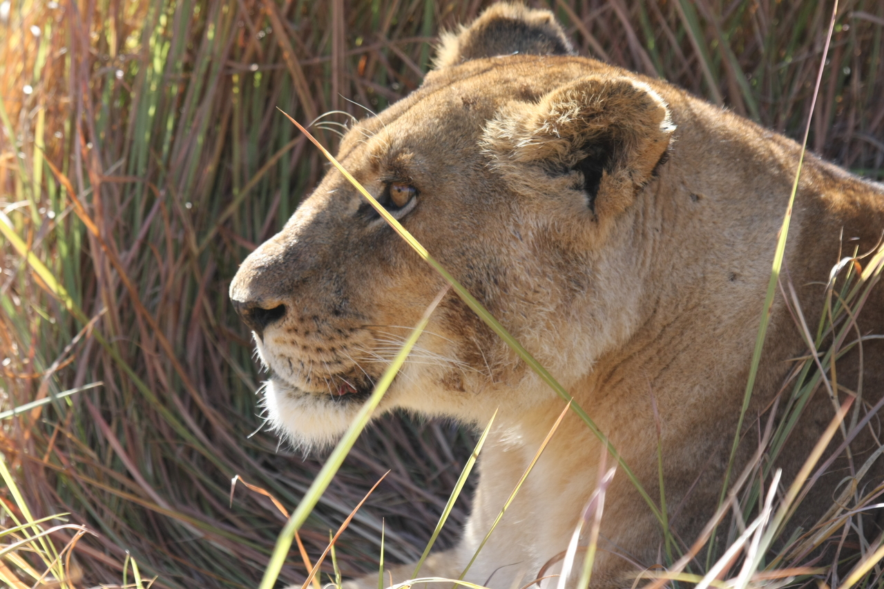 [18947] 2016_06_28_04_18_49_Africa_Canon_EOS_40D_IMG__02806.jpg