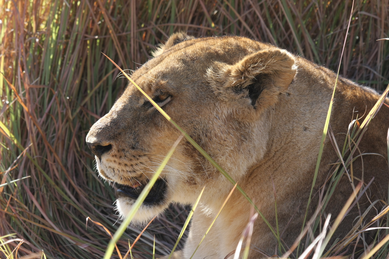 [18957] 2016_06_28_04_18_55_Africa_Canon_EOS_40D_IMG__02810.jpg