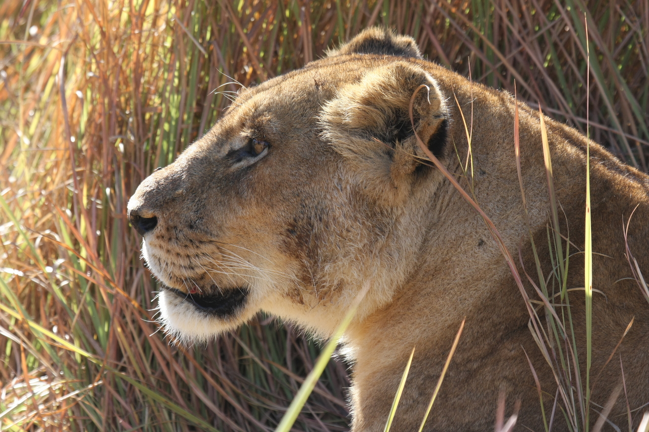 [19009] 2016_06_28_04_21_47_Africa_Canon_EOS_40D_IMG__02825.jpg