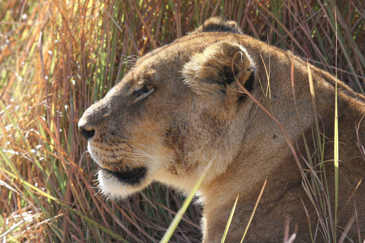 [19014] 2016_06_28_04_21_49_Africa_Canon_EOS_40D_IMG__02826.jpg