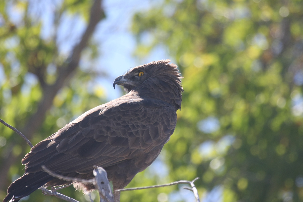 [19310] 2016_06_28_05_00_58_Africa_Canon_EOS_40D_IMG__02930.jpg