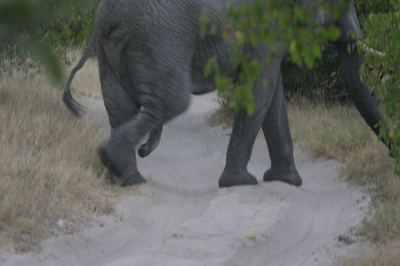 [20331] 2016_06_28_12_00_24_Africa_Canon_EOS_40D_IMG__10660.jpg