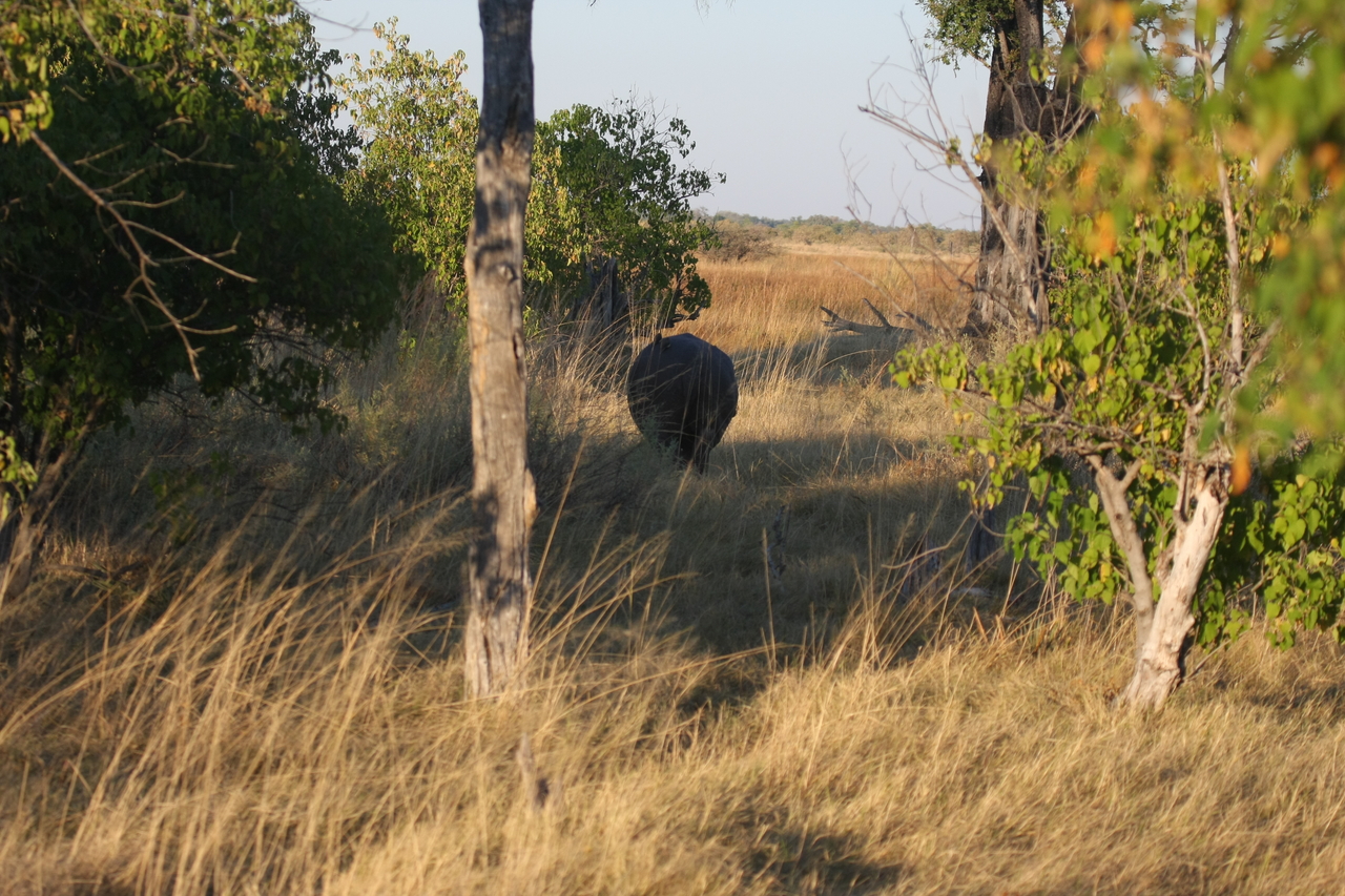 [20577] 2016_06_29_01_31_04_Africa_Canon_EOS_40D_IMG__00202.jpg