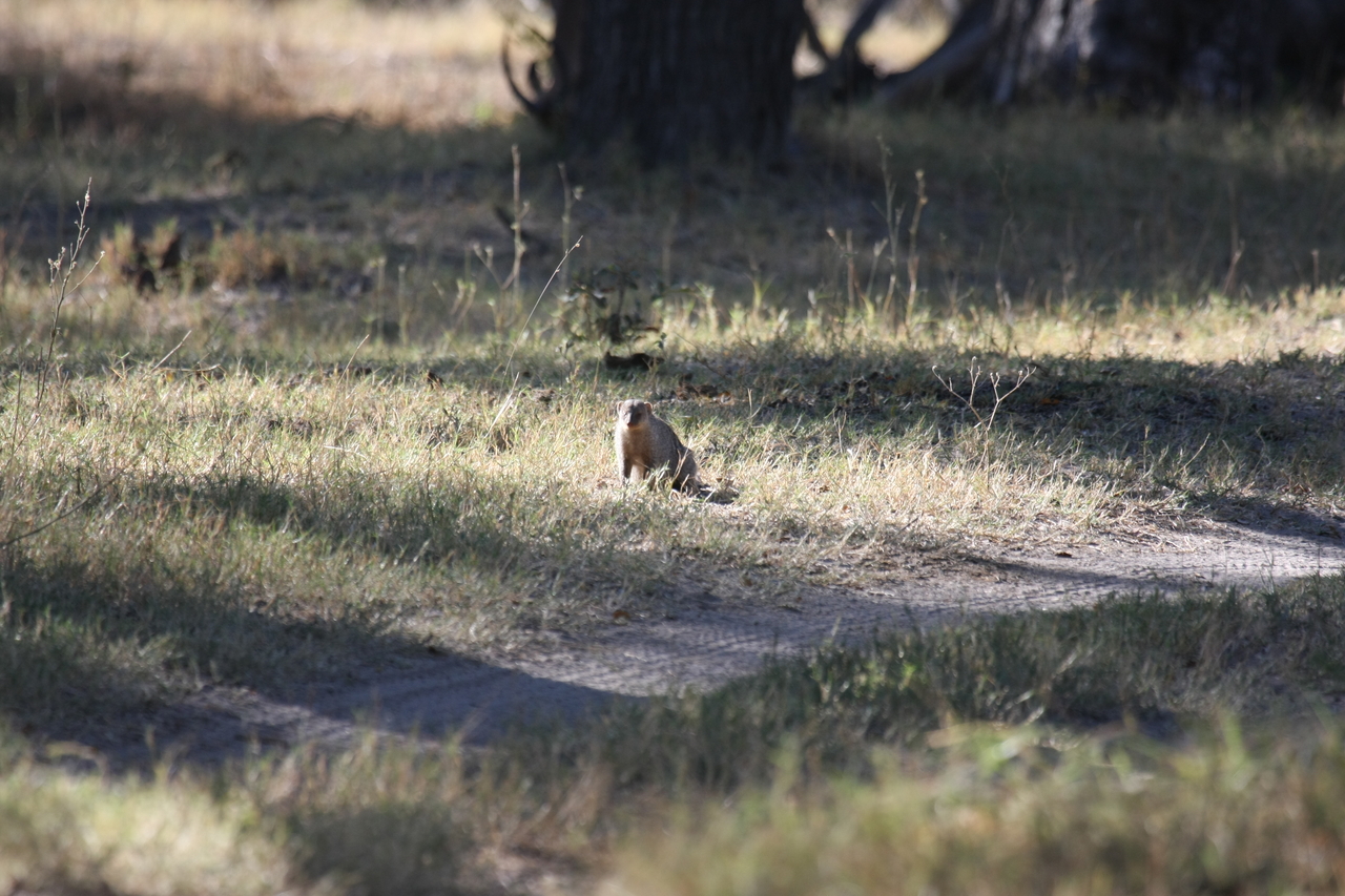 [20889] 2016_06_29_03_08_53_Africa_Canon_EOS_40D_IMG__03280.jpg