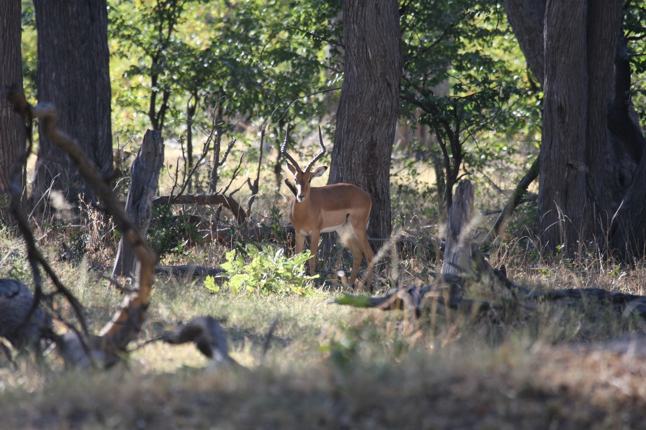 [20970] 2016_06_29_03_10_13_Africa_Canon_EOS_40D_IMG__03309.jpg