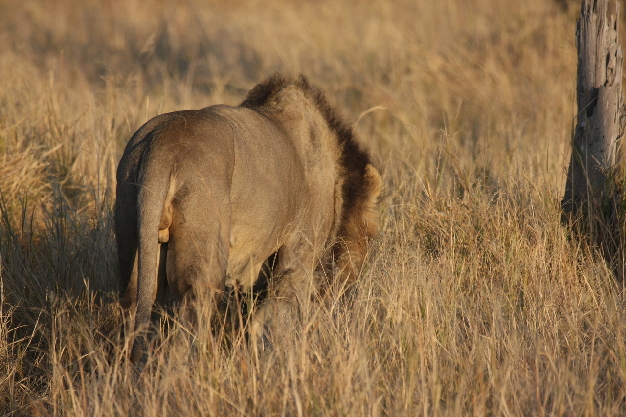 [22641] 2016_06_30_01_40_00_Africa_Canon_EOS_40D_IMG__04306.jpg