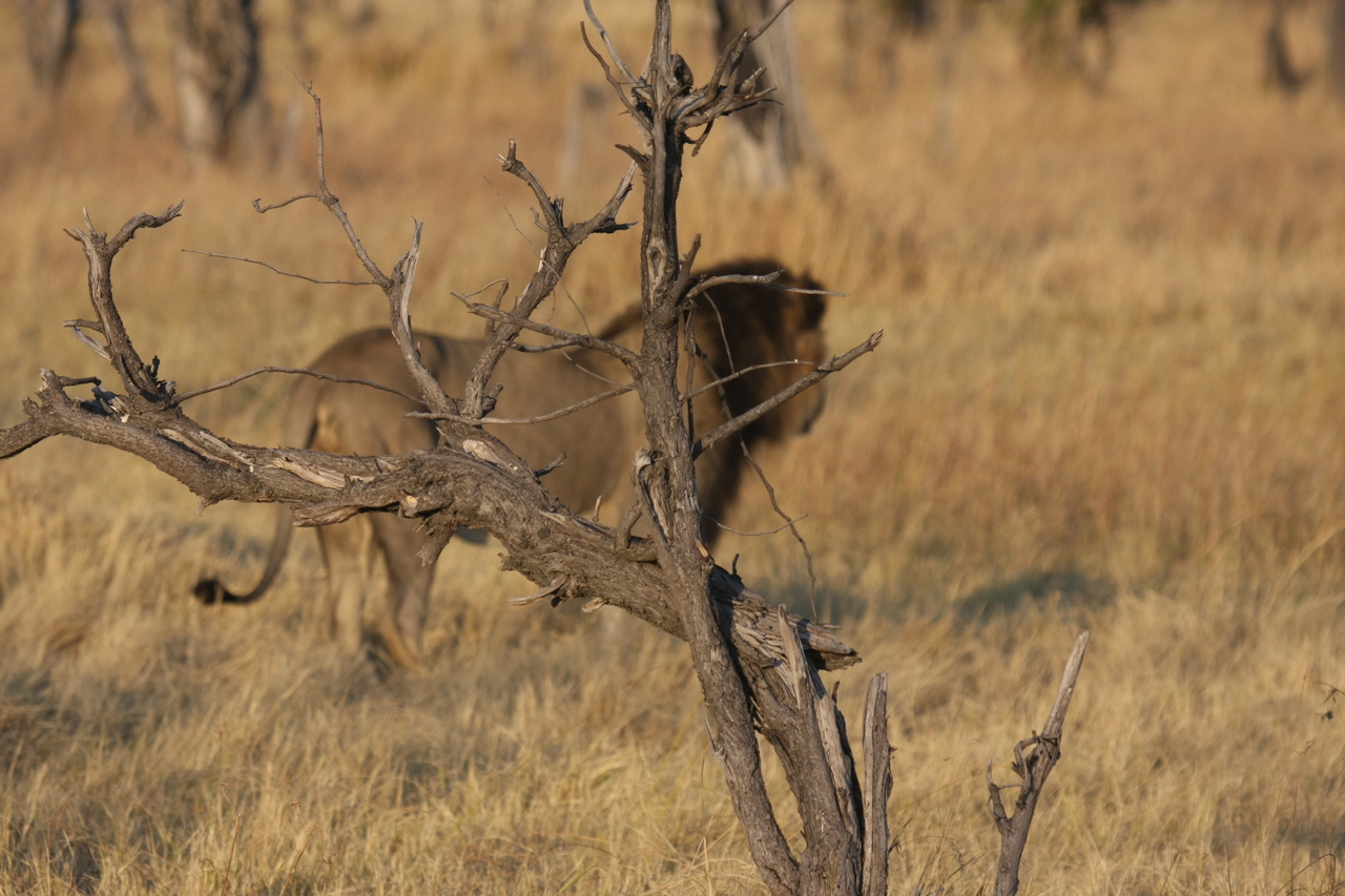 [22659] 2016_06_30_01_41_44_Africa_Canon_EOS_40D_IMG__11808.jpg