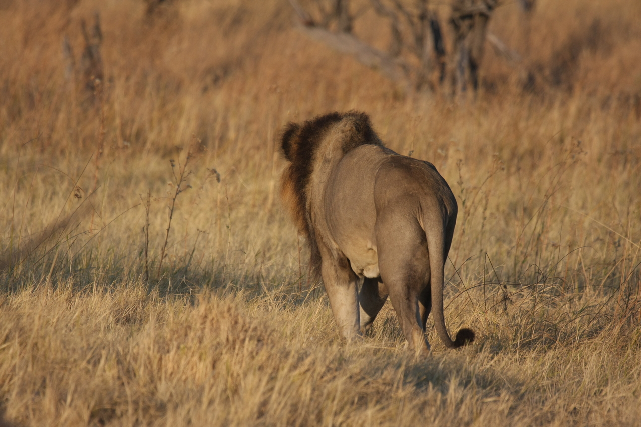 [22665] 2016_06_30_01_42_11_Africa_Canon_EOS_40D_IMG__00680.jpg