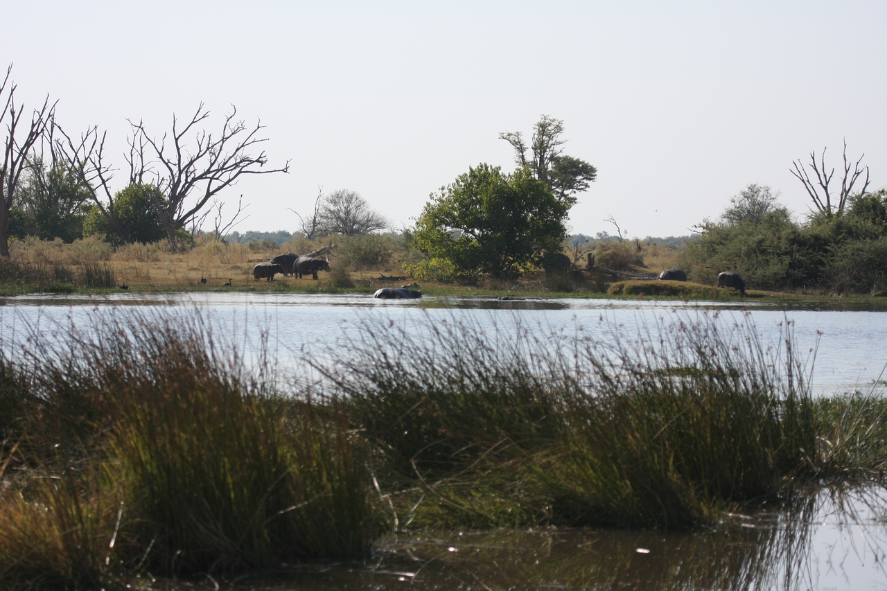 [24722] 2016_06_30_09_05_57_Africa_Canon_EOS_40D_IMG__00608.jpg