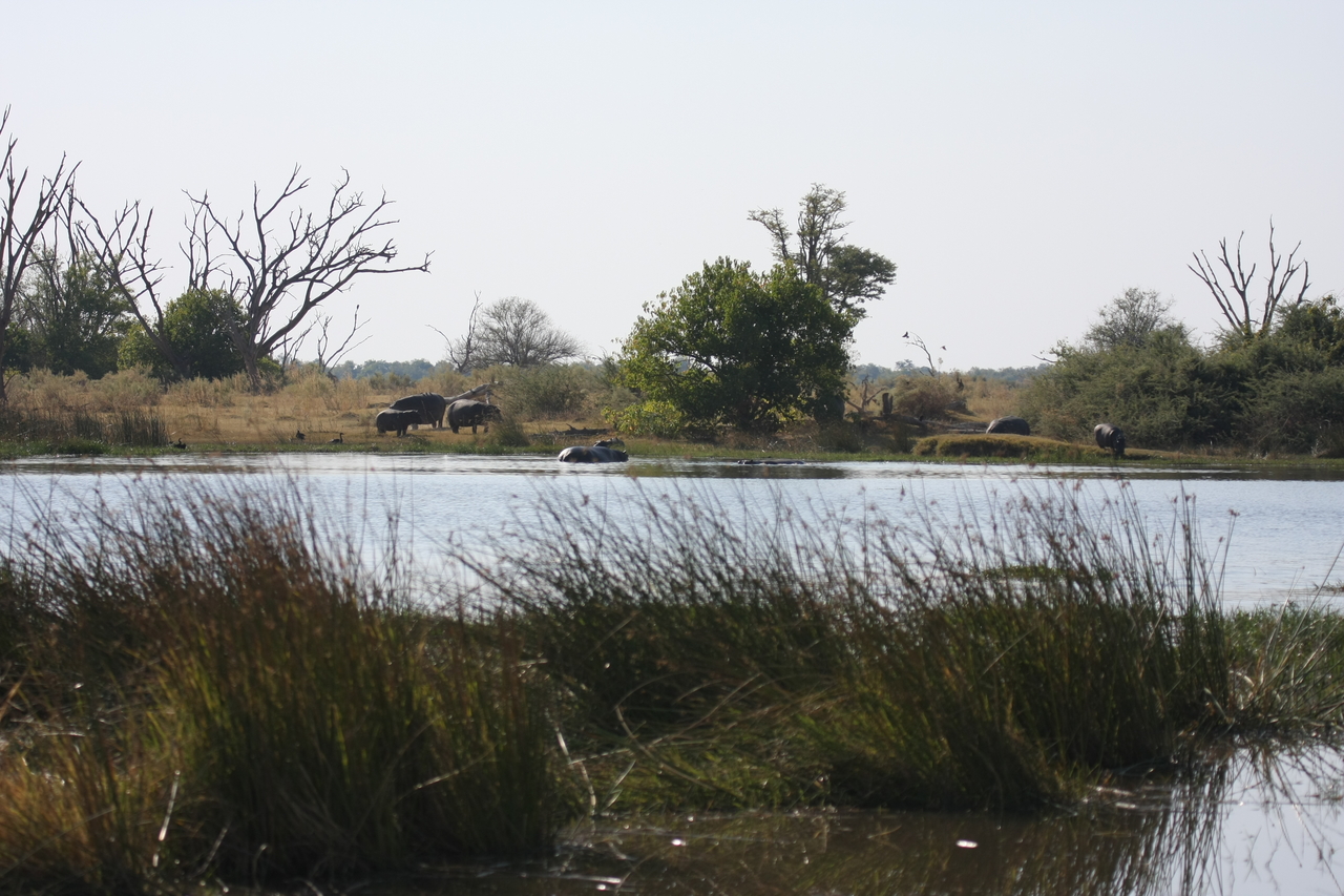 [24727] 2016_06_30_09_05_57_Africa_Canon_EOS_40D_IMG__04336.jpg