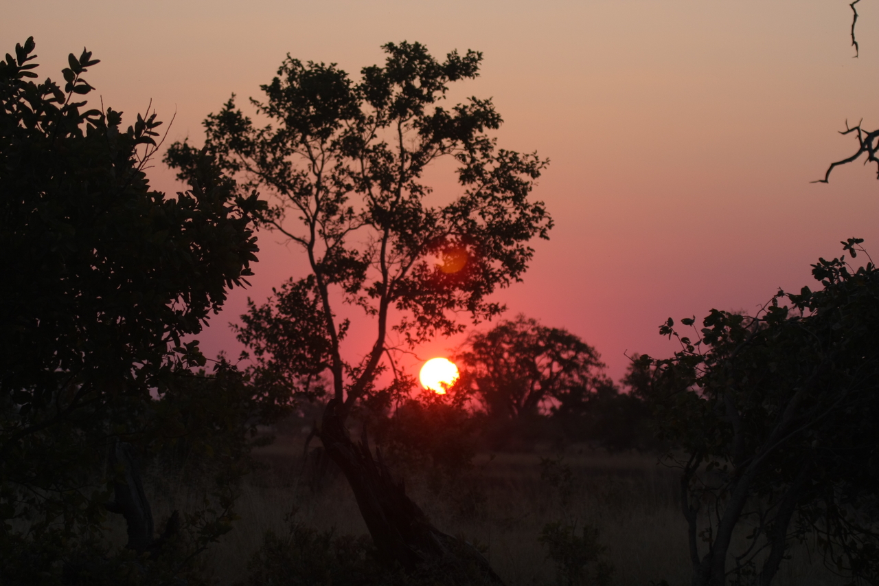 [25224] 2016_06_30_11_53_42_Africa_Canon_EOS_40D_IMG__11955.jpg