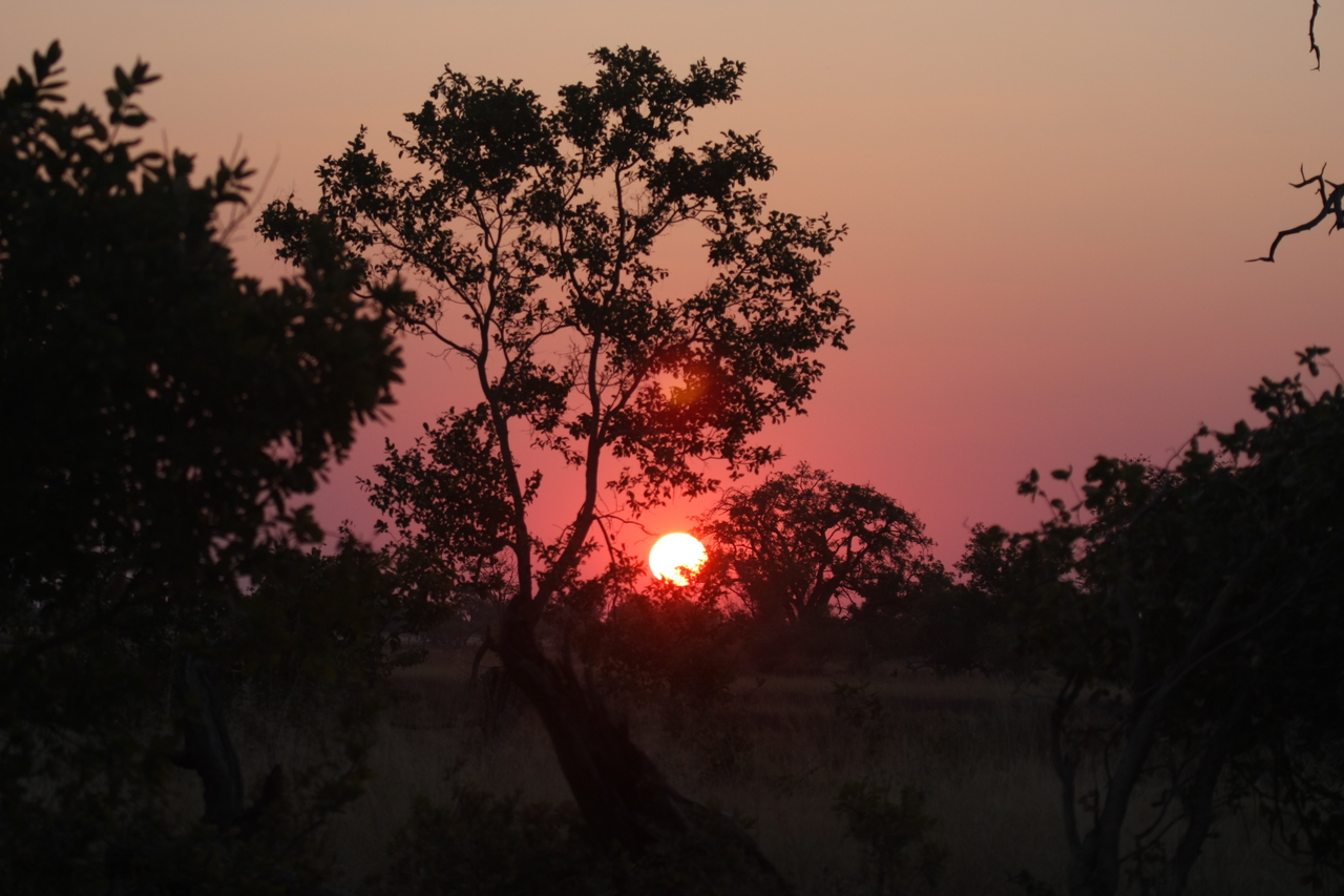 [25230] 2016_06_30_11_53_45_Africa_Canon_EOS_40D_IMG__00786.jpg