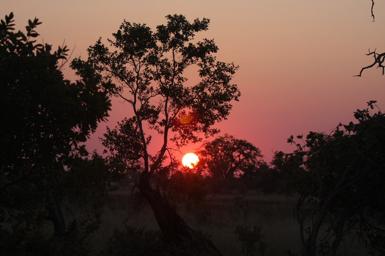 [25231] 2016_06_30_11_53_45_Africa_Canon_EOS_40D_IMG__04511.jpg