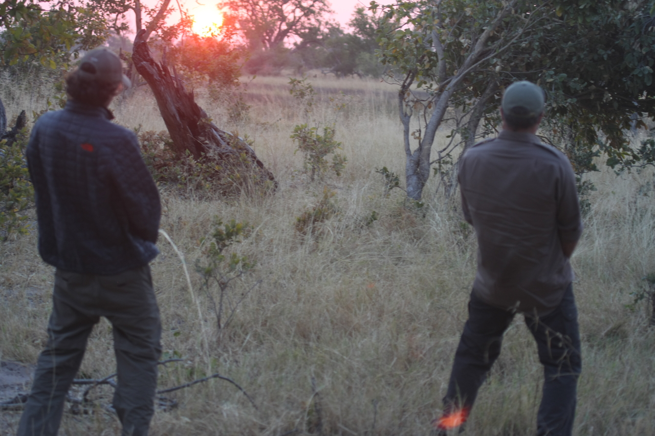 [25242] 2016_06_30_11_54_17_Africa_Canon_EOS_40D_IMG__11961.jpg