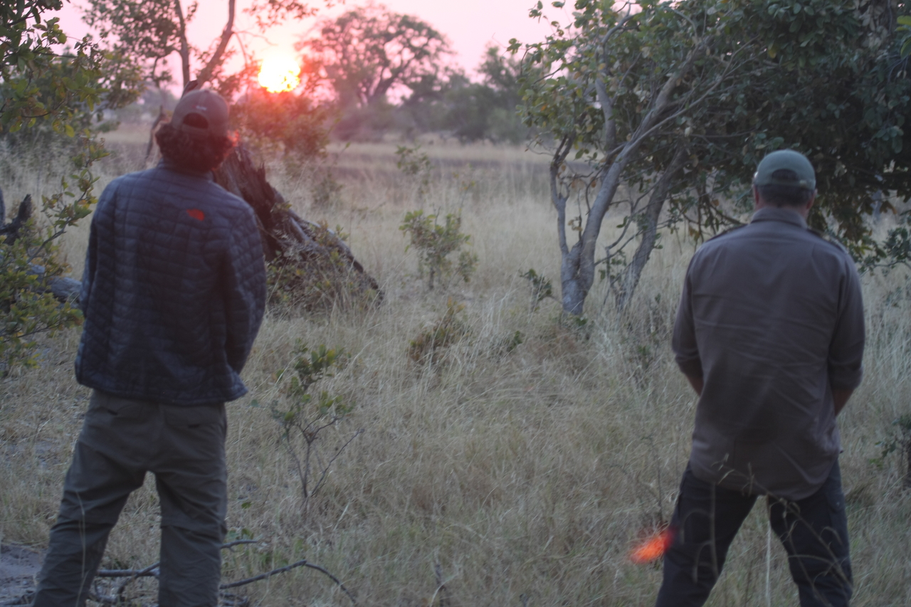 [25268] 2016_06_30_11_54_34_Africa_Canon_EOS_40D_IMG__04524.jpg