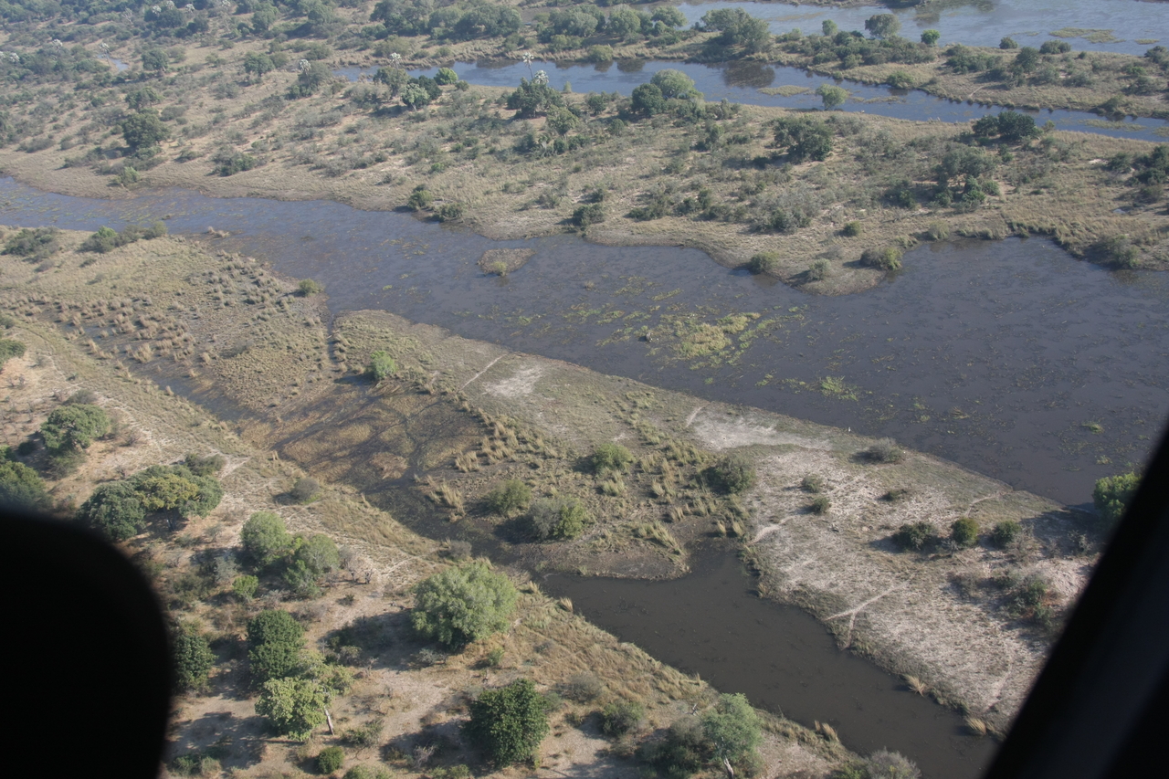 [30248] 2016_07_03_03_12_03_Africa_Canon_EOS_40D_IMG__05168.jpg