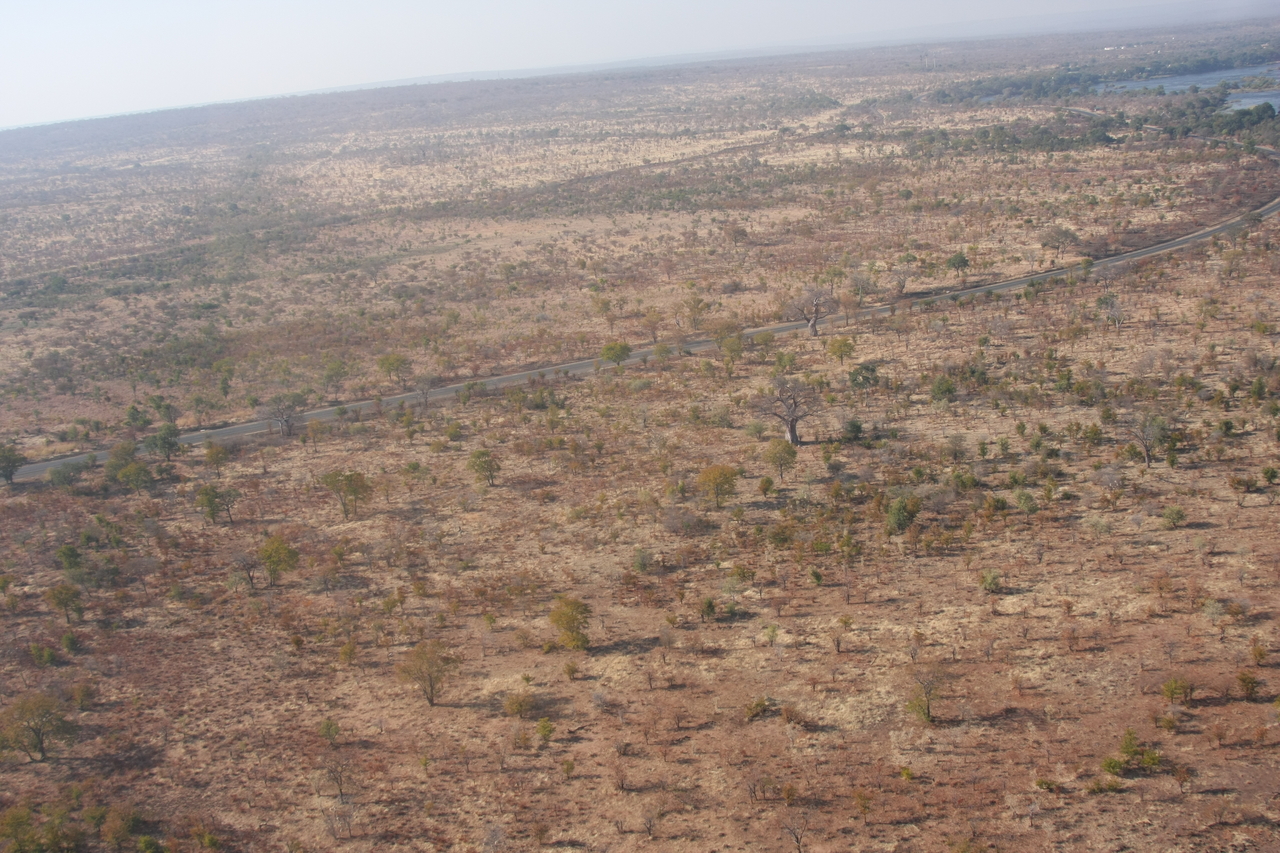 [30264] 2016_07_03_03_13_08_Africa_Canon_EOS_40D_IMG__00345.jpg