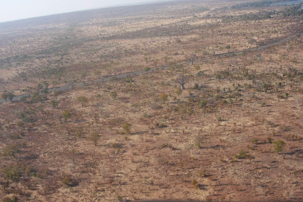 [30265] 2016_07_03_03_13_08_Africa_Canon_EOS_40D_IMG__05173.jpg