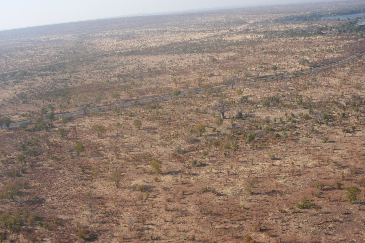 [30266] 2016_07_03_03_13_08_Africa_Canon_EOS_40D_IMG__05174.jpg