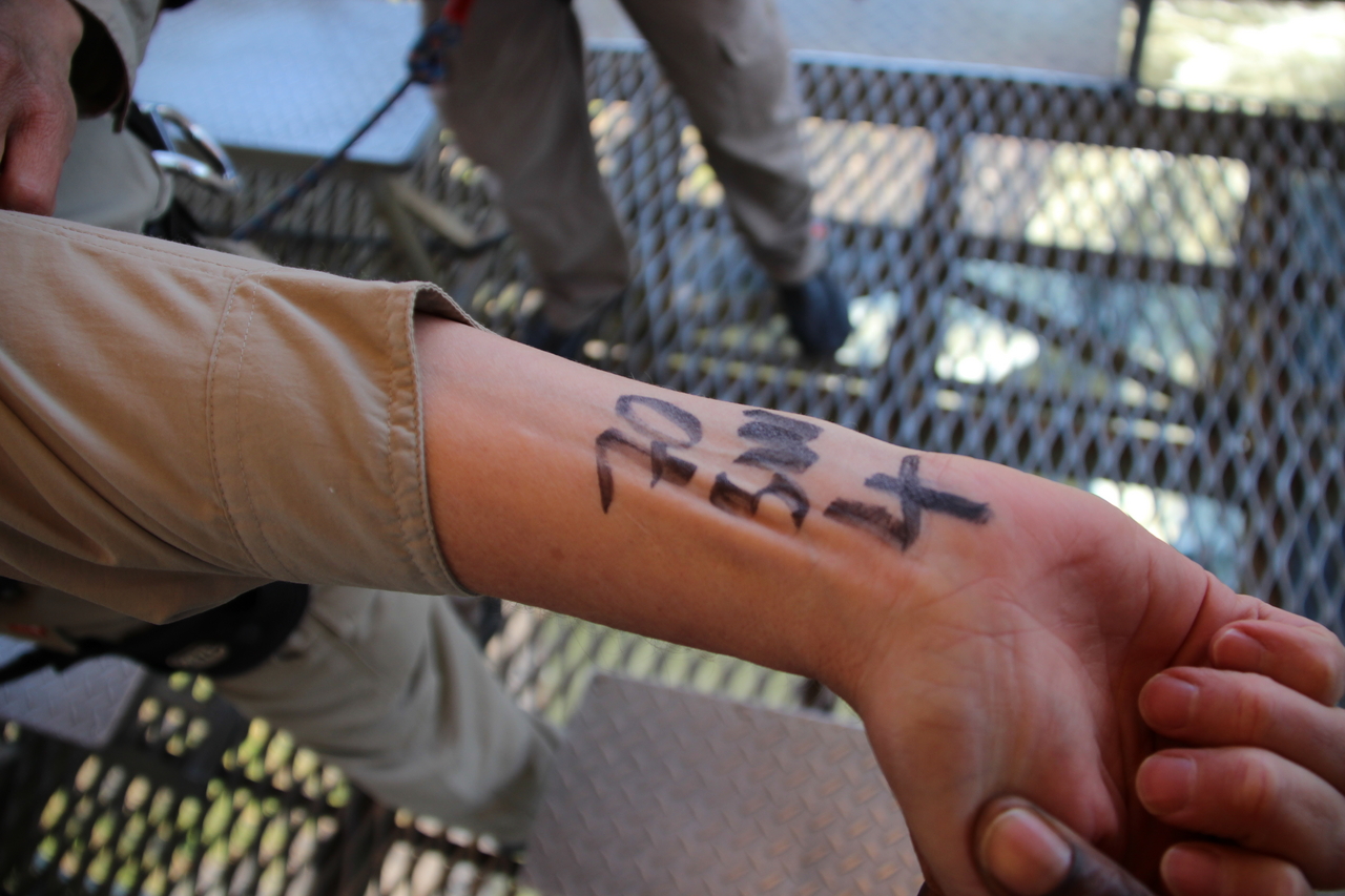 [32137] 2016_07_03_11_10_48_Africa_Canon_EOS_600D_IMG_4094_00001.jpg