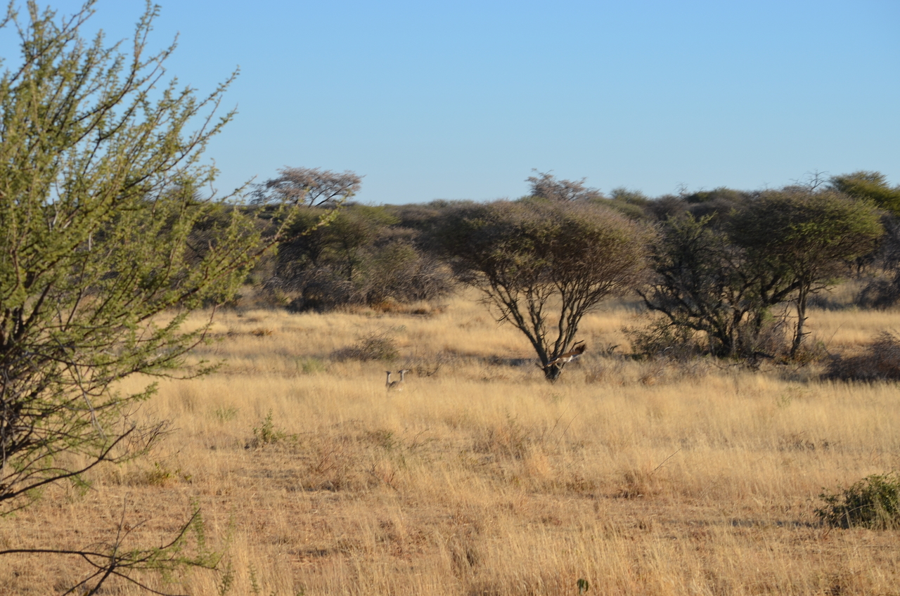 [4479] 2016_06_22_22_38_29_Africa_NIKON_D5100_IMG__04633.jpg