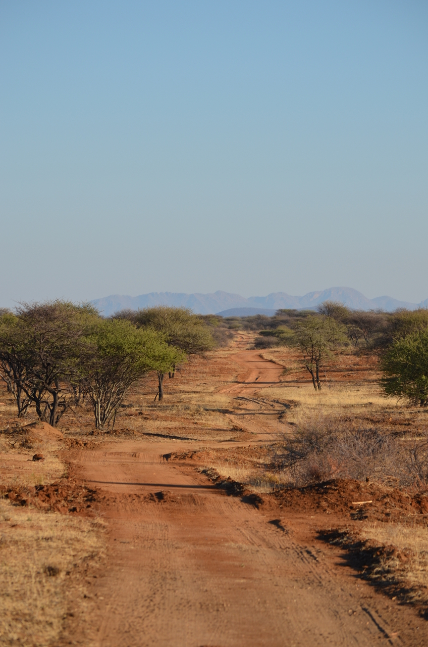 [4481] 2016_06_22_22_48_49_Africa_NIKON_D5100_IMG__04634.jpg