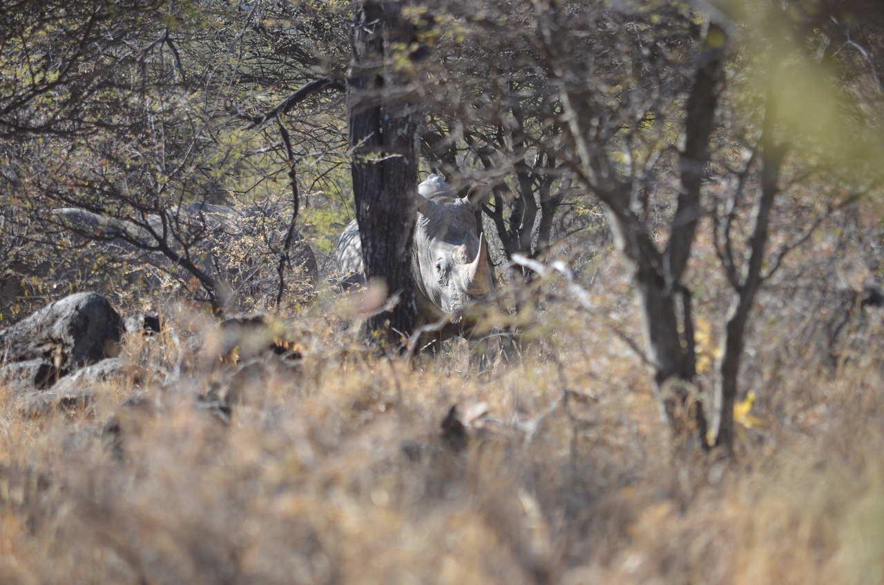 [4496] 2016_06_23_00_35_50_Africa_NIKON_D5100_IMG__00020.jpg