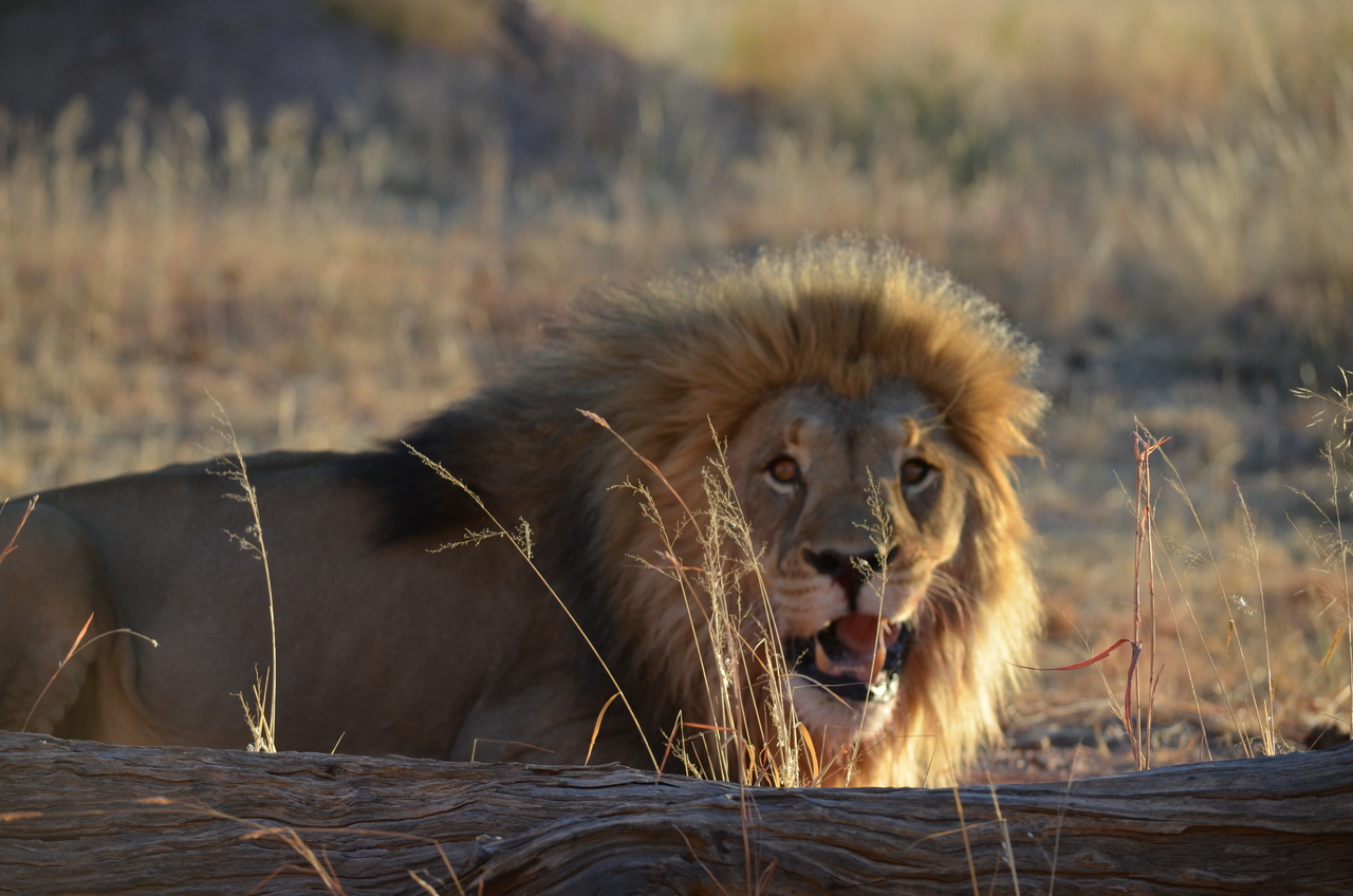 [5194] 2016_06_23_07_58_47_Africa_NIKON_D5100_IMG__00124.jpg