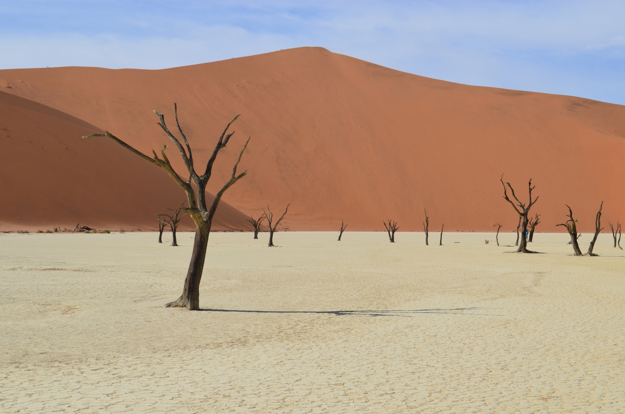 [14529] 2016_06_25_01_11_48_Africa_NIKON_D5100_IMG__00270.jpg