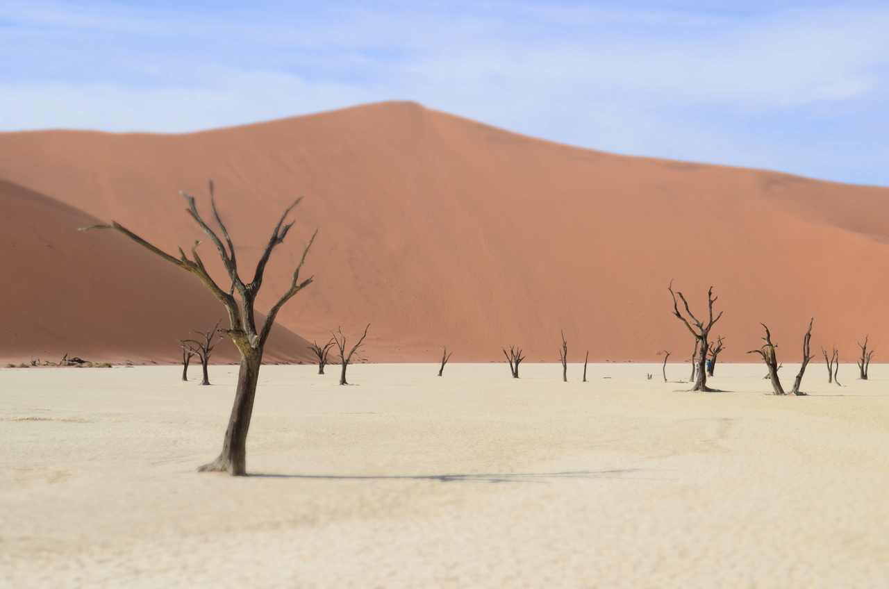 [14531] 2016_06_25_01_11_58_Africa_NIKON_D5100_IMG__00271.jpg