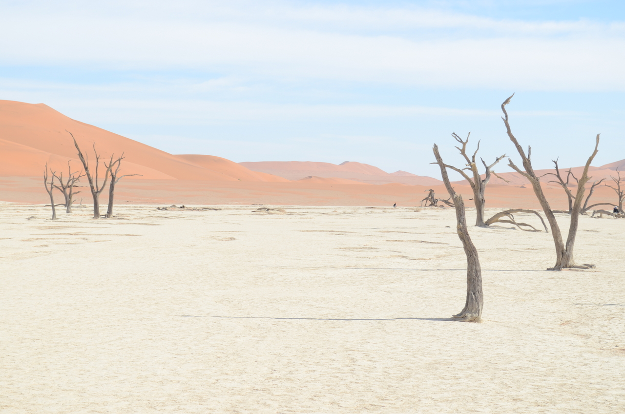 [14540] 2016_06_25_01_13_58_Africa_NIKON_D5100_IMG__04897.jpg