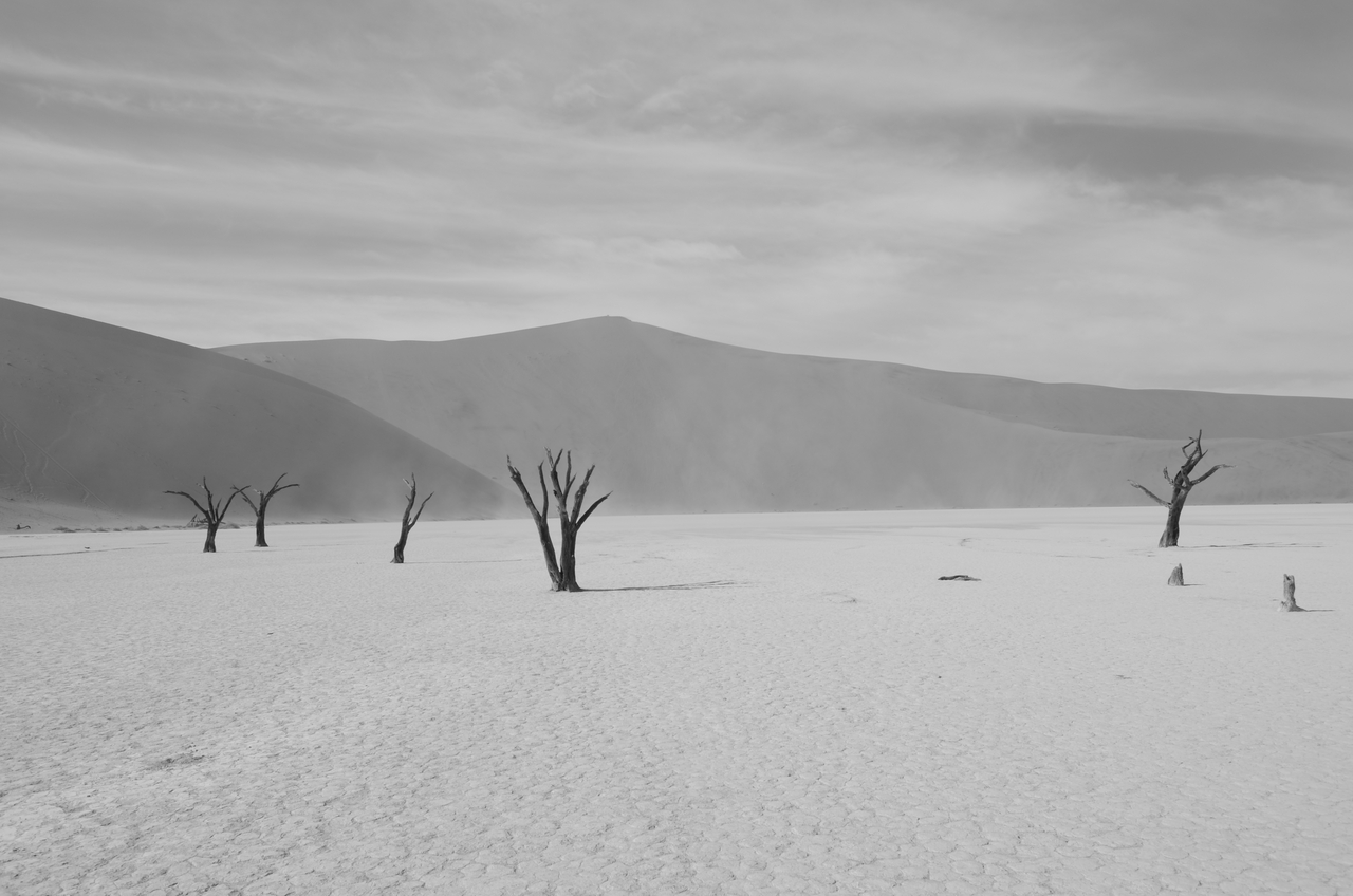 [14565] 2016_06_25_01_23_24_Africa_NIKON_D5100_IMG__00288.jpg