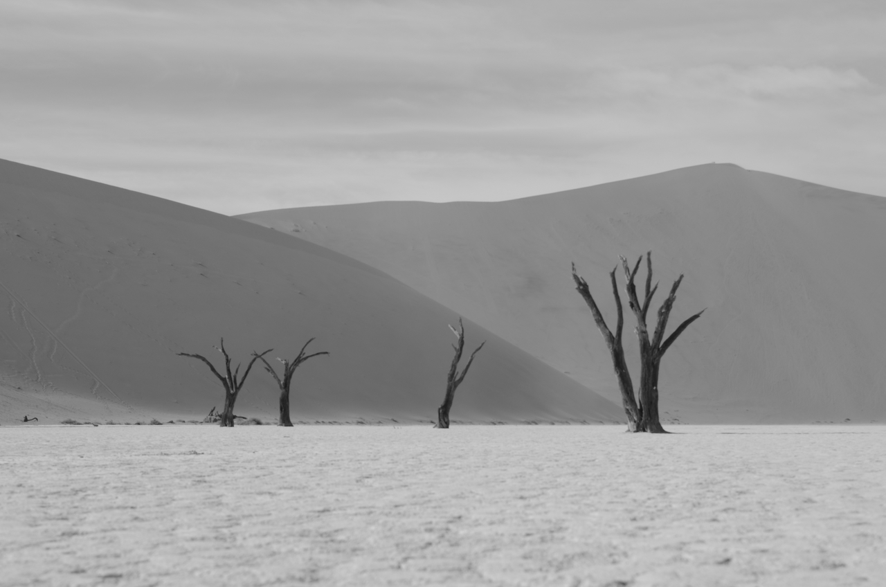 [14567] 2016_06_25_01_24_02_Africa_NIKON_D5100_IMG__00289.jpg