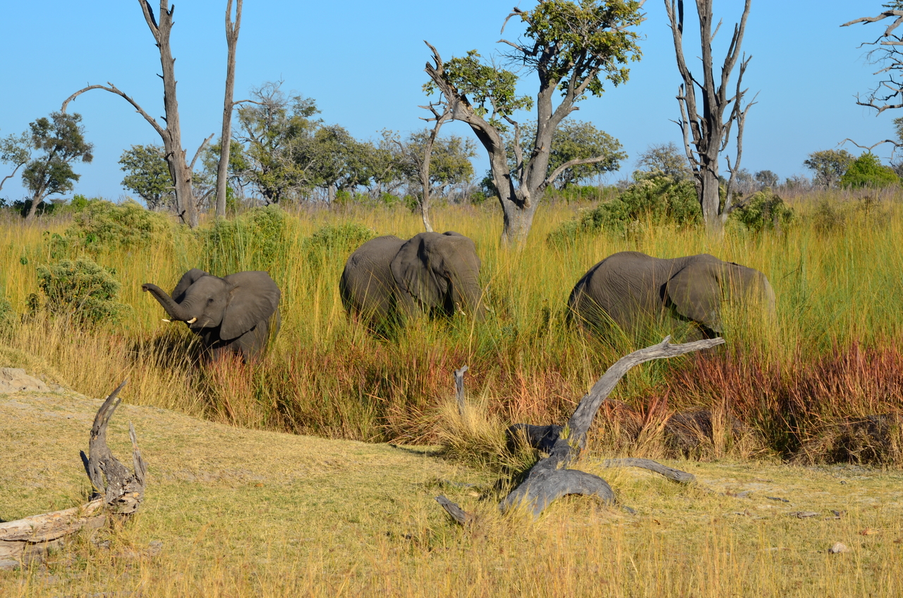 [17364] 2016_06_27_22_26_57_Africa_NIKON_D5100_IMG__04965.jpg