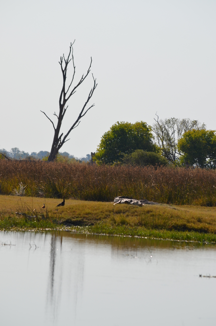 [23803] 2016_06_30_05_19_55_Africa_NIKON_D5100_IMG__05338.jpg