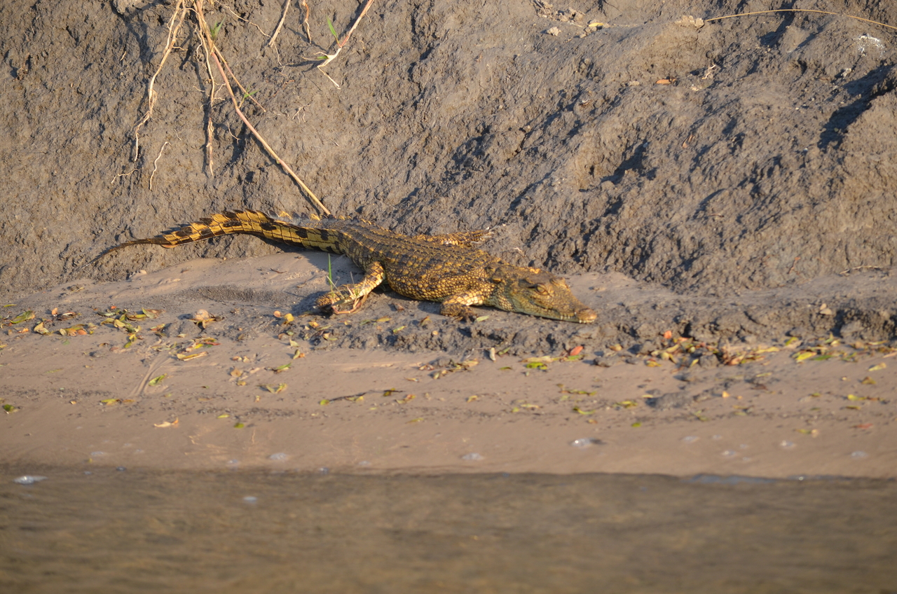 [27828] 2016_07_02_06_59_18_Africa_NIKON_D5100_IMG__05503.jpg