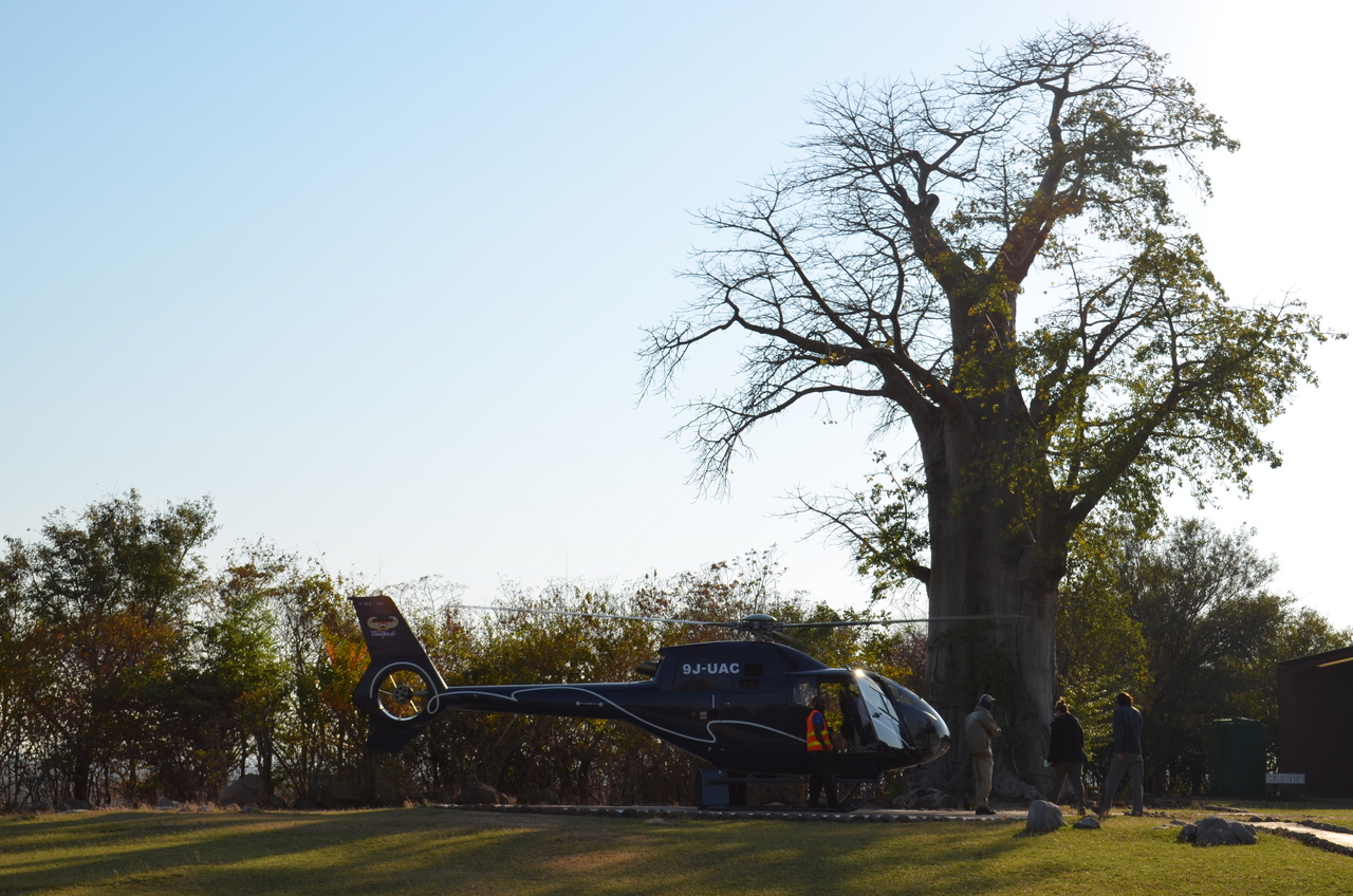 [28849] 2016_07_02_22_39_01_Africa_NIKON_D5100_IMG__05517.jpg