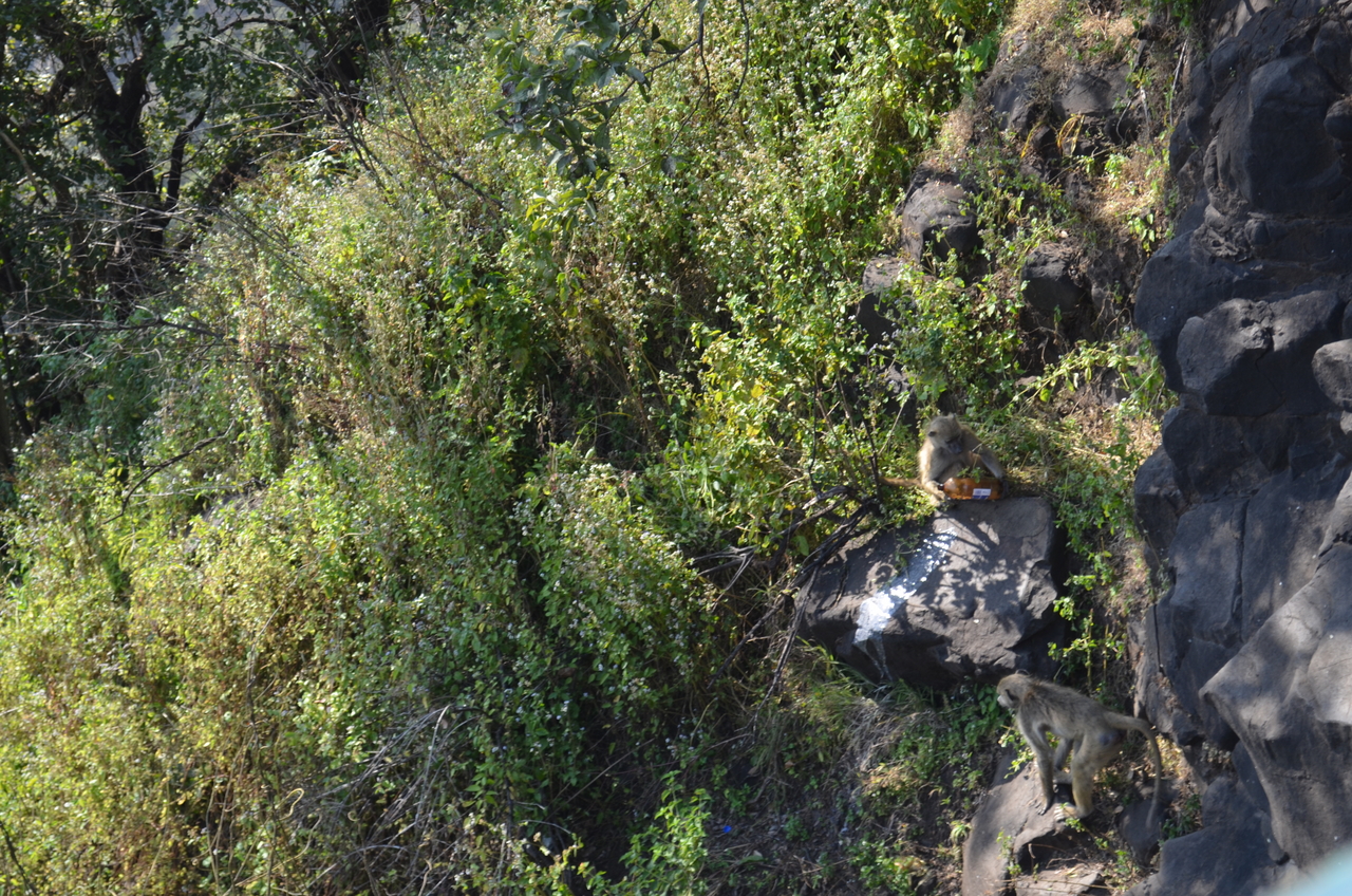 [28879] 2016_07_03_00_01_20_Africa_NIKON_D5100_IMG__05532.jpg